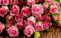 Букет фиолетовых роз