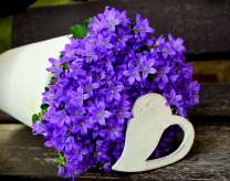 Нежные фиолетовые цветочки в букете