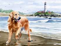 Лабрадор на берегу у маяка