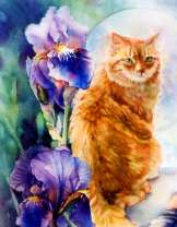 Рыжий кот и ирисы