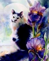 Черно-белая кошка в ирисах