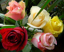 Красивый букет разноцветных роз