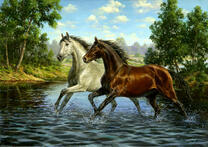 Пара лошадей в реке