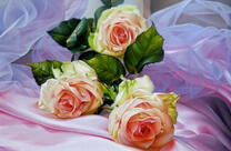 Три нежных розочки в шифоне