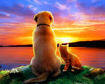 Пёс и котенок - два друга