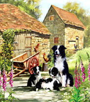 Щенки с мамой в деревне