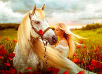 Девушка и белая лошадь на маковом поле