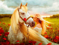 Белая лошадь и девушка на маковом поле