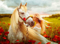 Девушка с лошадью на маковом поле