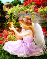 Ангелочек играет с котенком