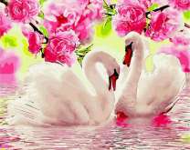 Белые лебеди на озере под сакурой