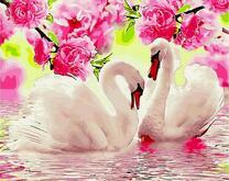 Ветви с цветущими розами над лебединым озером