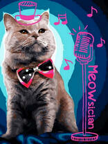 Музыкальный котик