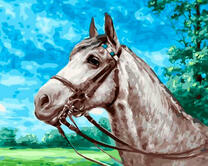 Красивая лошадка на фоне летнего леса