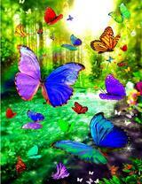 Яркие бабочки над лесной рекой