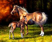 Жеребёнок с мамой на лесной опушке