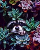 Енот выглядывает из цветов