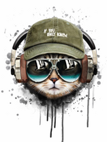 Кот в очках и бейсболке