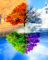 Четыре времени года