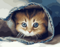 Пугливый котёнок в штанине