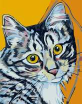 Котик на оранжевом фоне