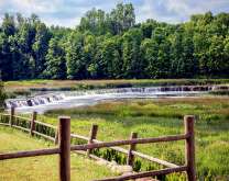 Река в летнем пейзаже