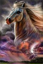 Сильный скакун в грозовых облаках