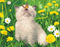 Пушистый котёнок с бабочкой на носике