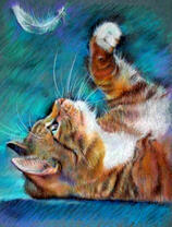 Котёнок играет с перышком