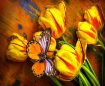 Бабочка на желтых тюльпанах
