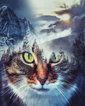 Кошка - дух гор
