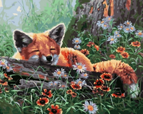 Милый лисенок спит среди цветов