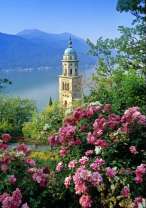 Вид на храм сквозь цветы