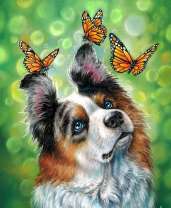 Любопытный пёс и бабочки махаон