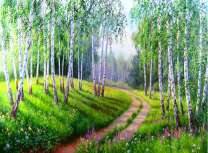 Лесная дорога в берёзовой роще