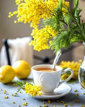 Чай и лимон под мимозой