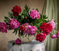 Букет садовых пионов в большой вазе