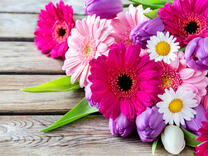 Букет хризантем, ромашек и тюльпанов