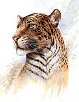 Гордый леопард