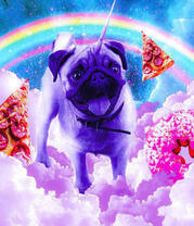 Мопс единорог