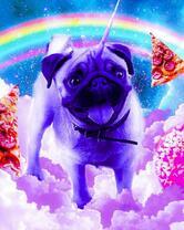 Мопс-единорожек и его мечты