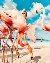 Девушка на море с фламинго
