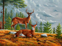 Олени на фоне осенних гор