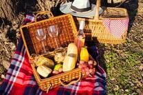 Корзина для пикника