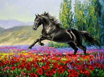 Черный конь скачет по цветочному лугу
