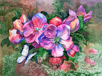 Цветы яблони и бабочка