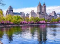 Вид на Центральный парк в Нью-Йорке