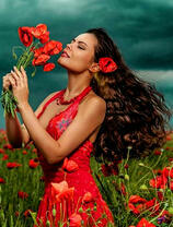 Красотка в маковом поле