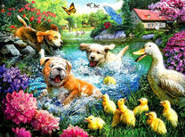 Собаки играют в утином озере