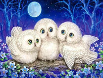 Три белых совенка под полной луной